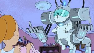 S1E2 – Evoluzione canina